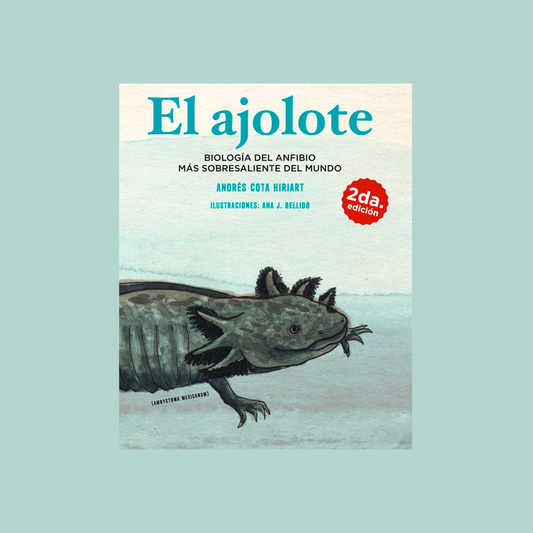 El ajolote. Biología del anfibio más sobresaliente del mundo