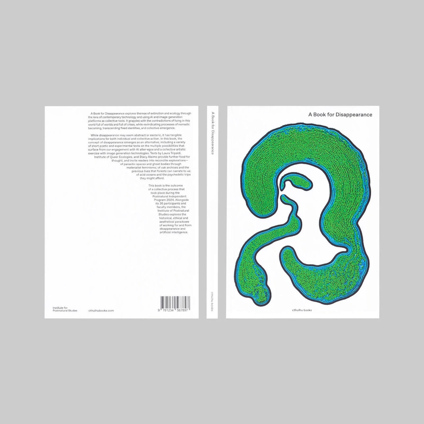 A book for disappearance | VV AA