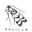 Logo di Polilla Librería