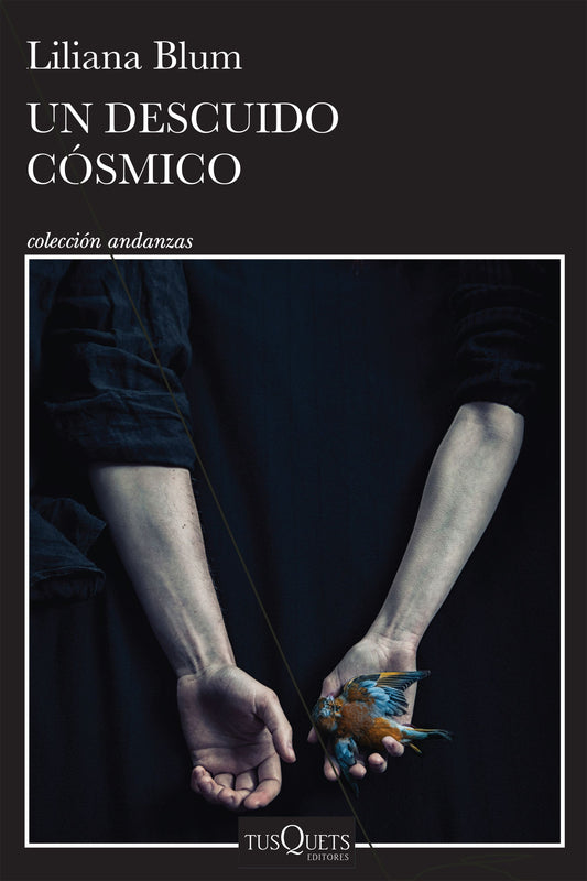 Un descuido cósmico | LILIANA BLUM
